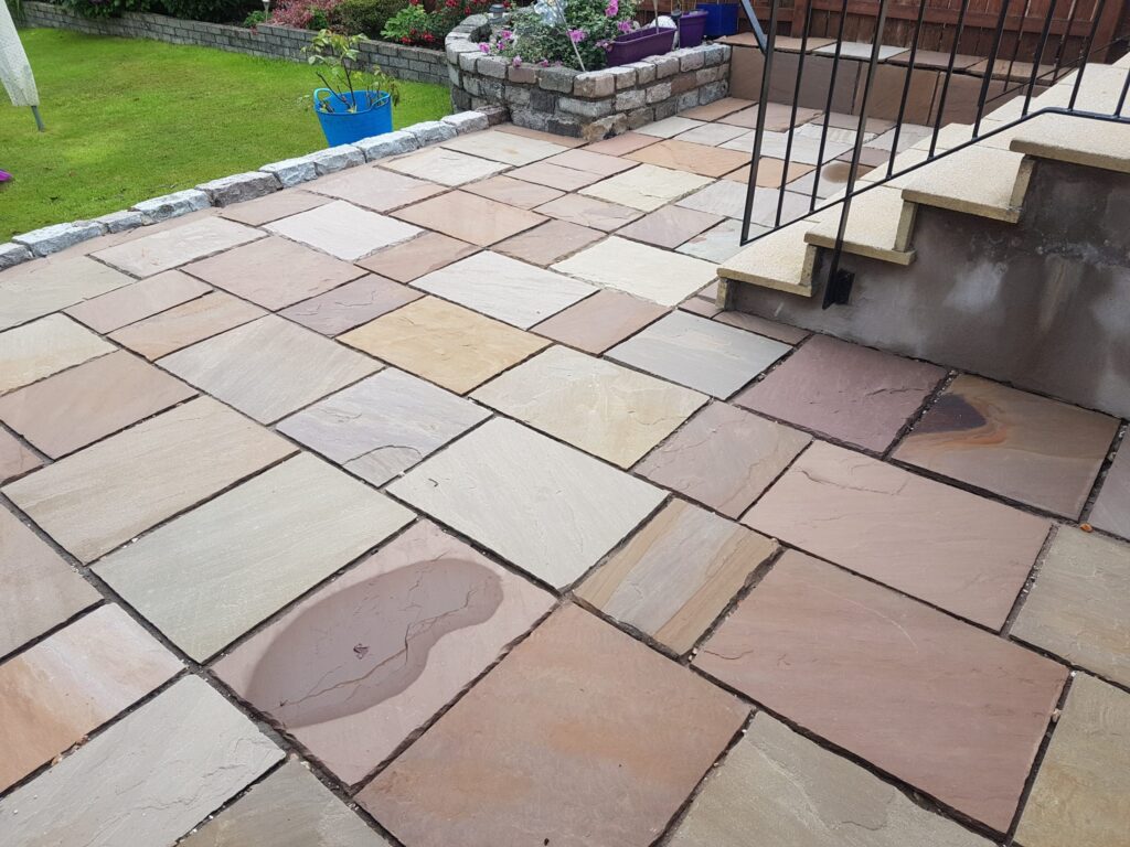 20180817_0949051-scaled