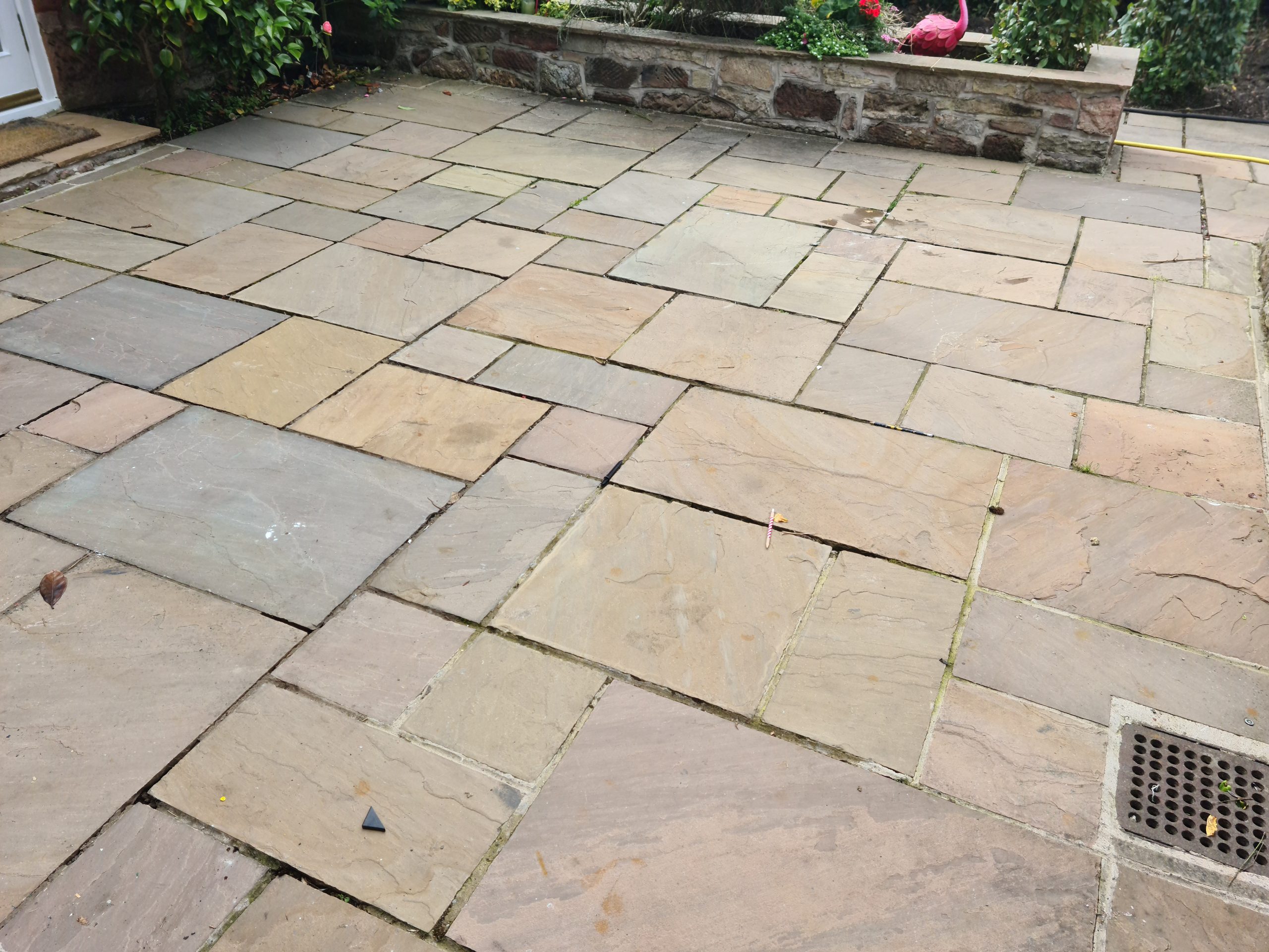 20200714_095814-scaled