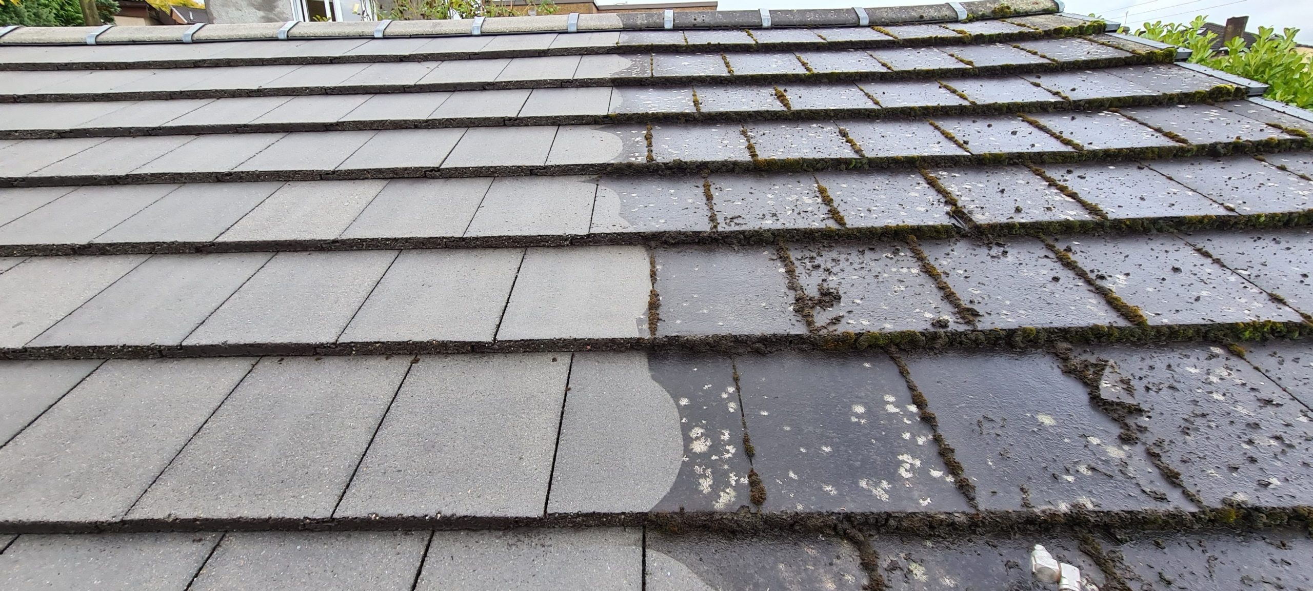 20201004_114048-rotated