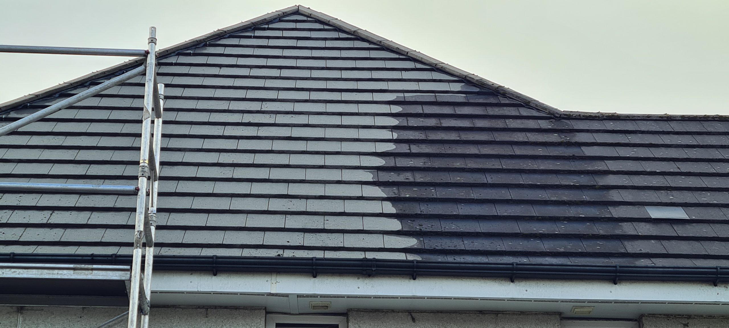 20201007_111100-scaled