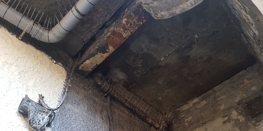 bird-dropping-cleaners-glasgow